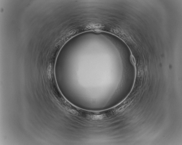 X0000071830647200607141701