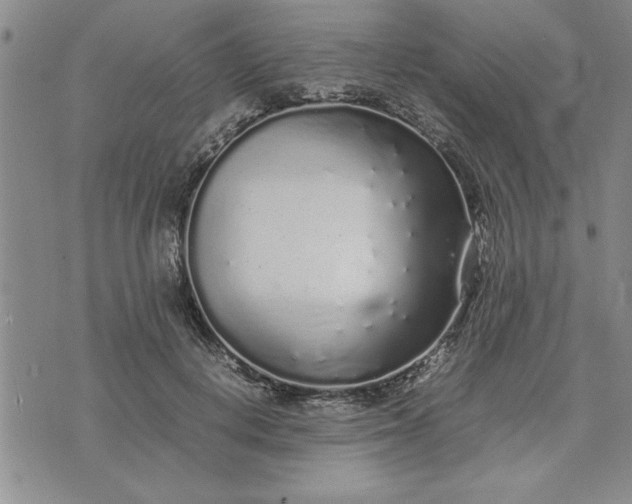 X0000071830648200607141701