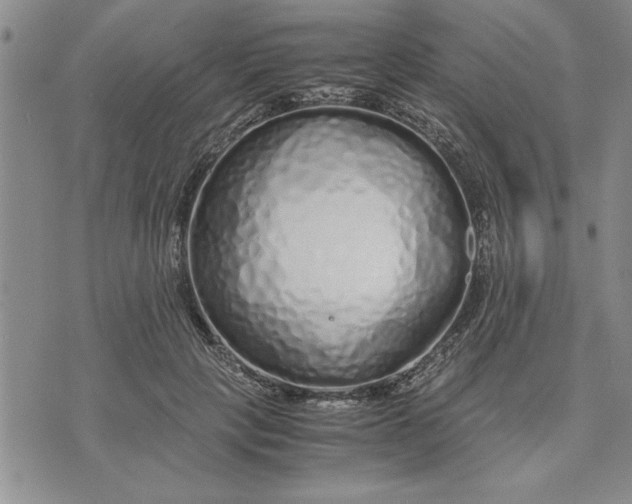 X0000071830649200607141701