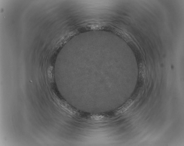 X0000071830650200607141701