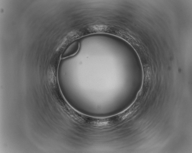 X0000071830651200607141701