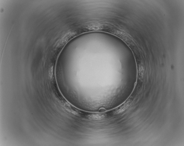 X0000071830652200607141701