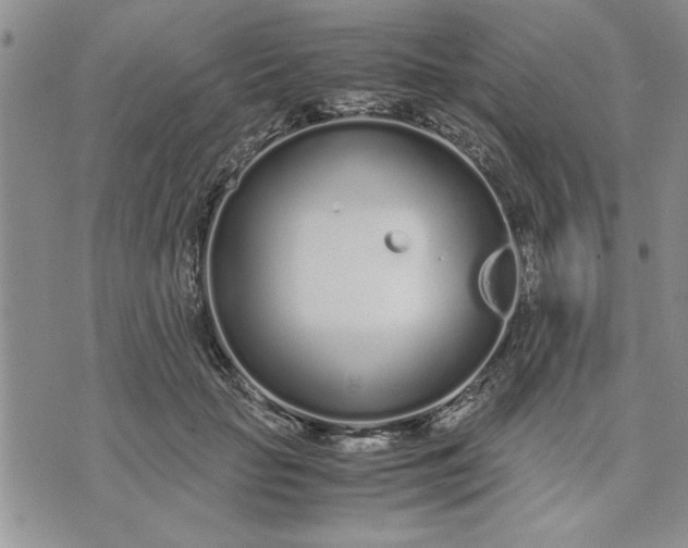 X0000071830653200607141701