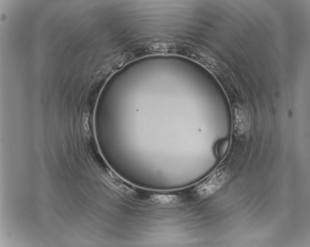 X0000071830654200607141701