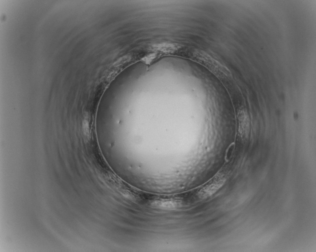 X0000071830655200607141701