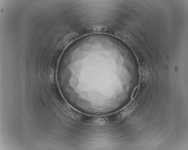 X0000071830656200607141701