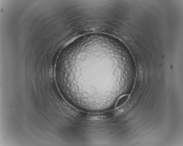 X0000071830657200607141701