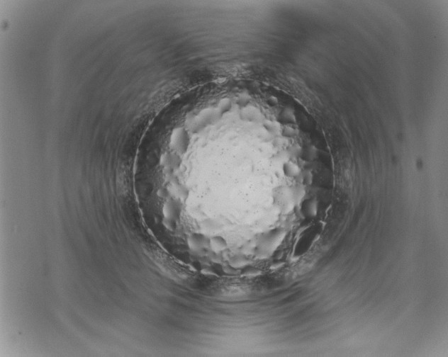 X0000071830658200607141701