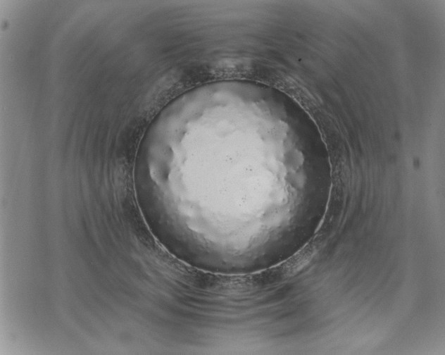 X0000071830659200607141701