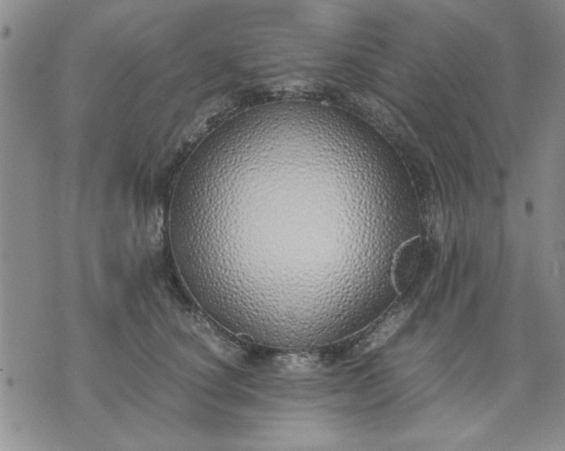 X0000071830660200607141701