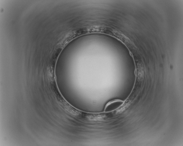 X0000071830661200607141701