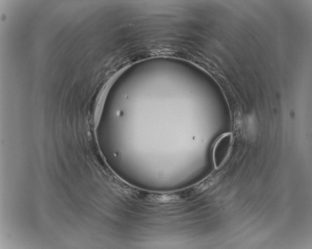 X0000071830663200607141701