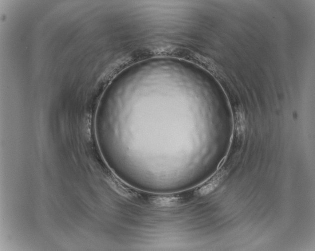 X0000071830664200607141701