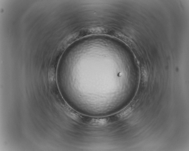 X0000071830665200607141701