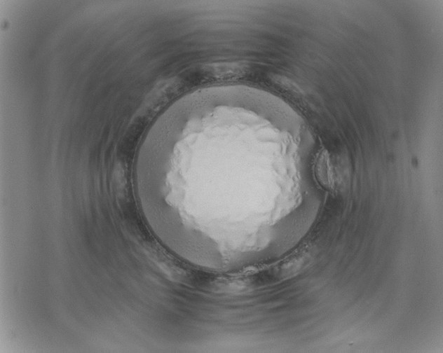 X0000071830667200607141701