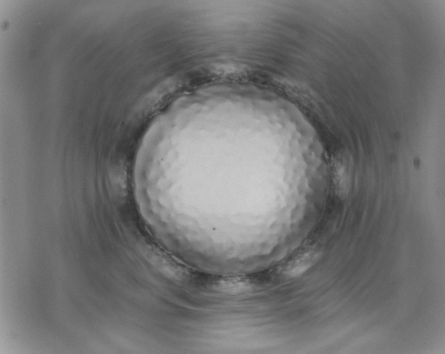 X0000071830668200607141701