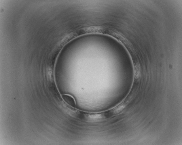 X0000071830669200607141701