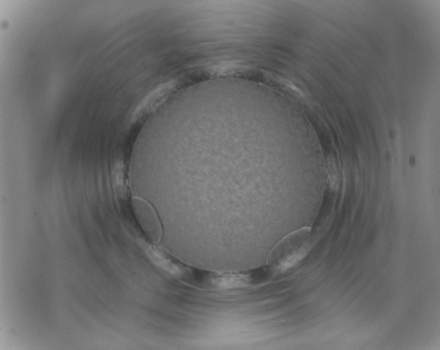 X0000071830670200607141702