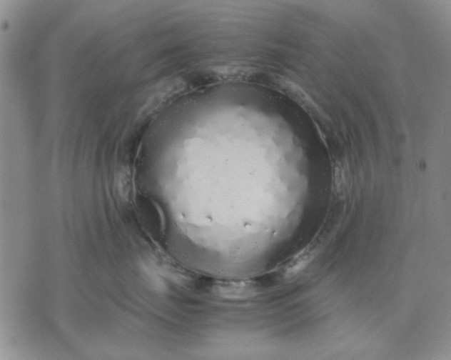 X0000071830671200607141702