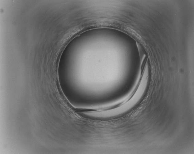 X0000071830673200607141701