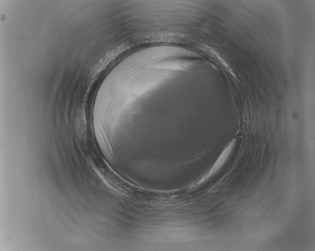 X0000071830674200607141701