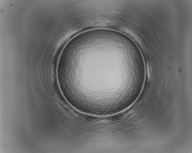 X0000071830675200607141701