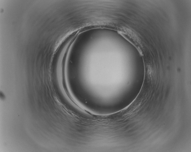 X0000071830676200607141701