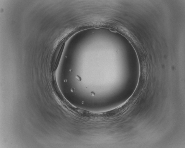 X0000071830677200607141701