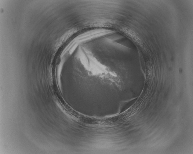 X0000071830678200607141701