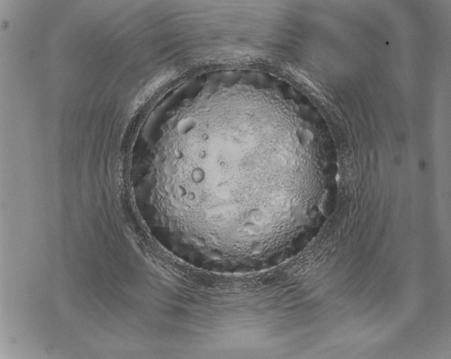 X0000071830679200607141701