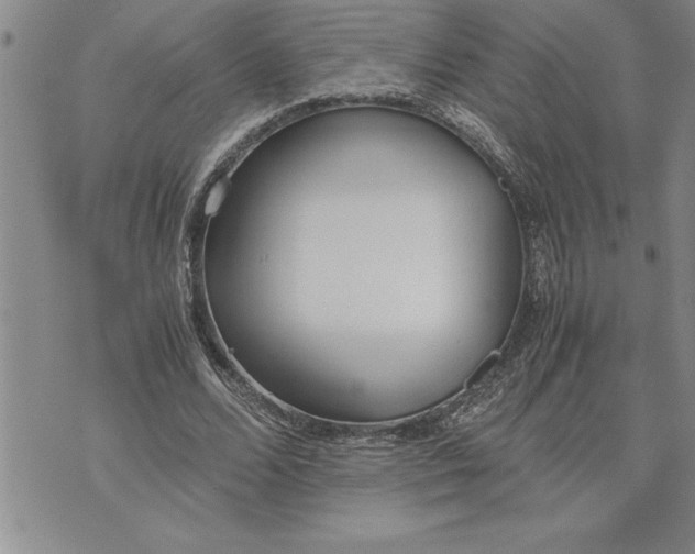 X0000071830680200607141701