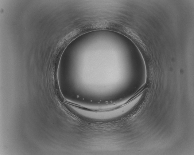 X0000071830681200607141701