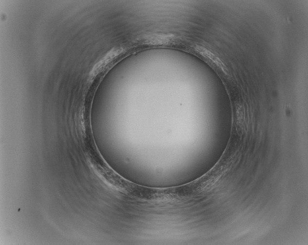 X0000071830682200607141701