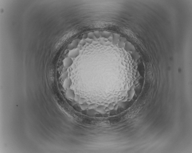 X0000071830683200607141701