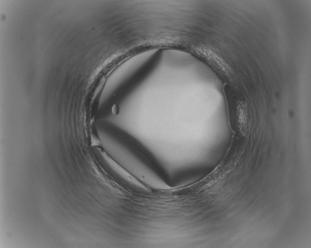 X0000071830684200607141701