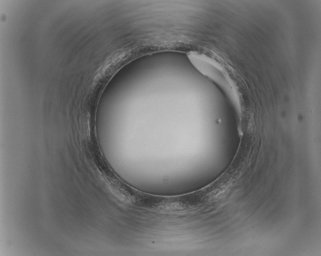 X0000071830685200607141701