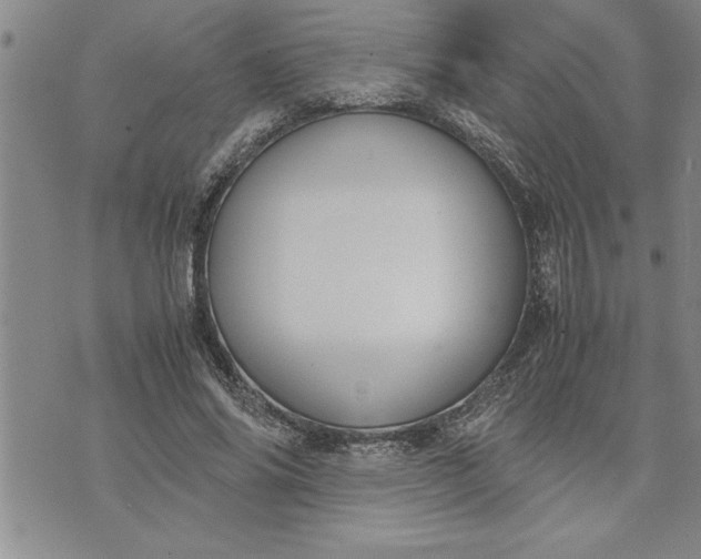 X0000071830686200607141701