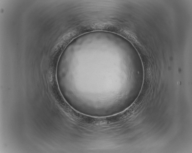 X0000071830687200607141701