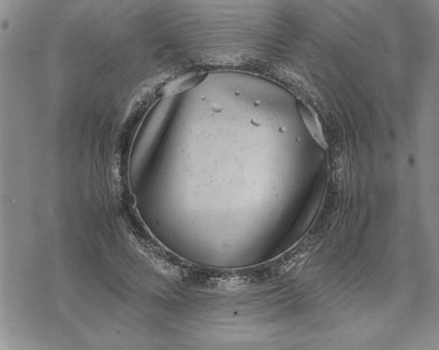 X0000071830688200607141701