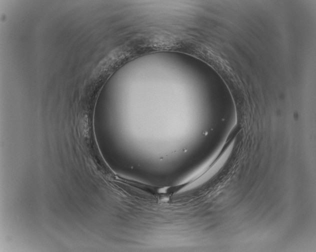 X0000071830689200607141700