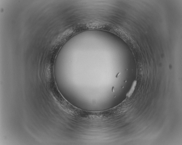 X0000071830690200607141700