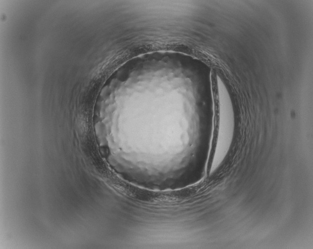 X0000071830691200607141700