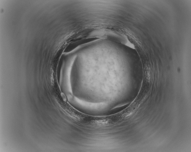 X0000071830692200607141700