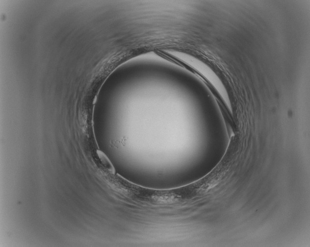 X0000071830693200607141700