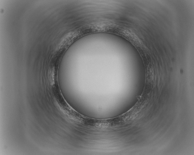 X0000071830694200607141700