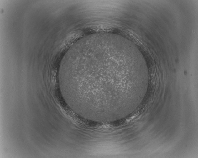 X0000071830695200607141700