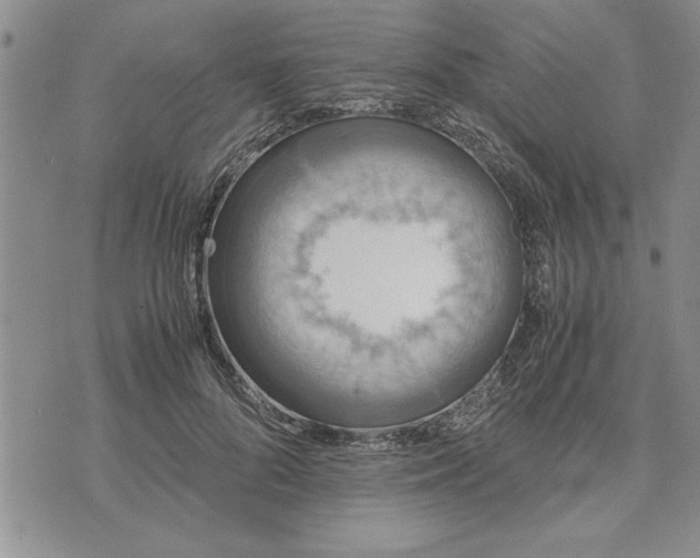 X0000071830696200607141700