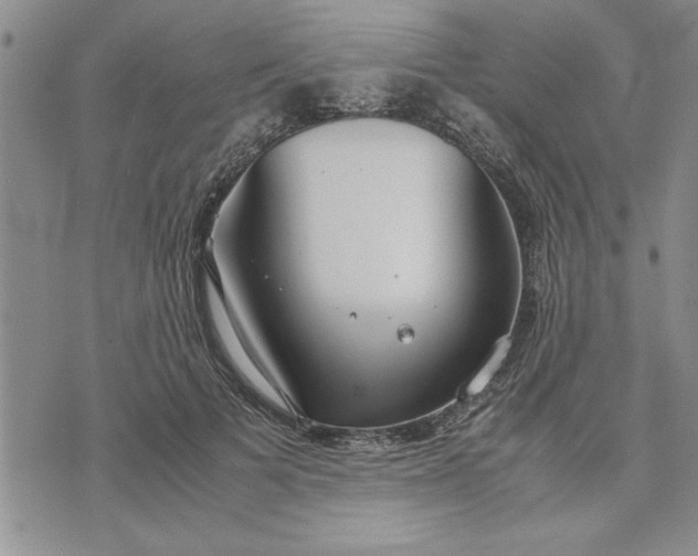 X0000071830697200607141700