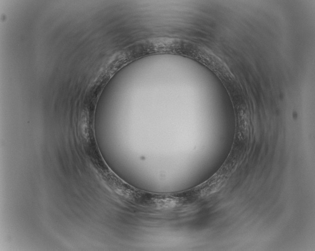 X0000071830698200607141700