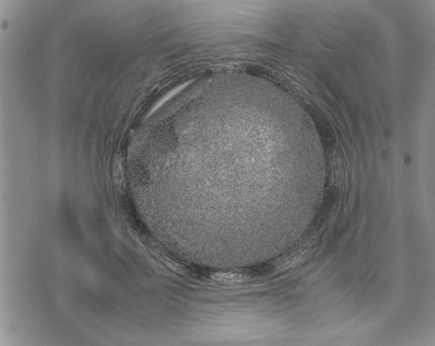 X0000071830699200607141700